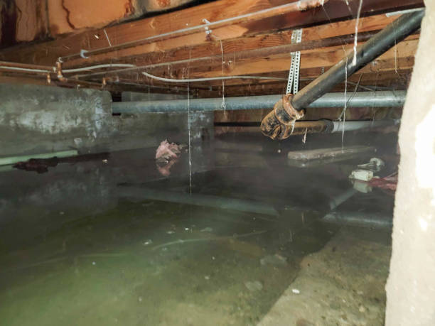 Best Water damage cleanup near me  in Orchard Hills, PA
