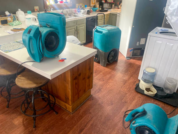 Best Carpet water damage restoration  in Orchard Hills, PA