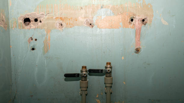 Best Water damage restoration mold remediation  in Orchard Hills, PA