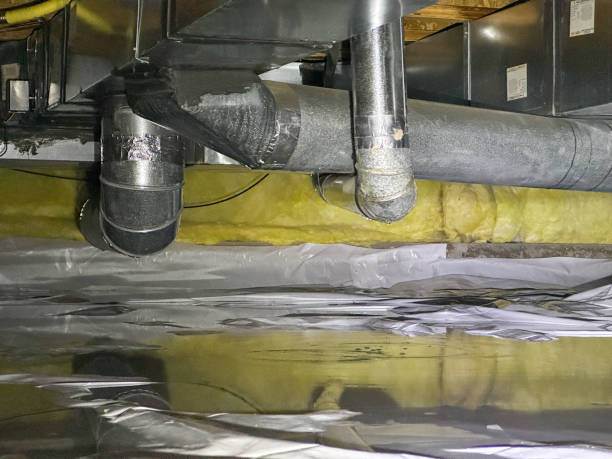 Best Mold removal after water damage  in Orchard Hills, PA