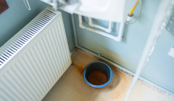 Best Flood damage cleanup  in Orchard Hills, PA