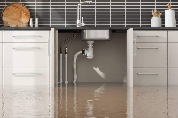 Best Water damage contractors near me  in Orchard Hills, PA