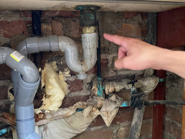 Best Mold removal after water damage  in Orchard Hills, PA