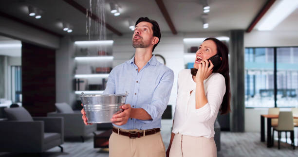 Best Residential water damage restoration  in Orchard Hills, PA